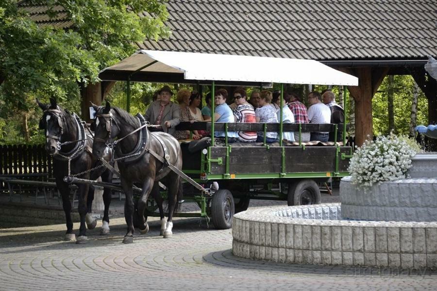 Park Lesny 'U Kaczyny' Hotel Rogow Luaran gambar